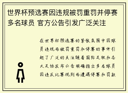 世界杯预选赛因违规被罚重罚并停赛多名球员 官方公告引发广泛关注