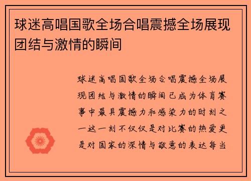 球迷高唱国歌全场合唱震撼全场展现团结与激情的瞬间