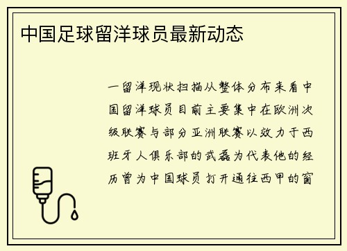 中国足球留洋球员最新动态